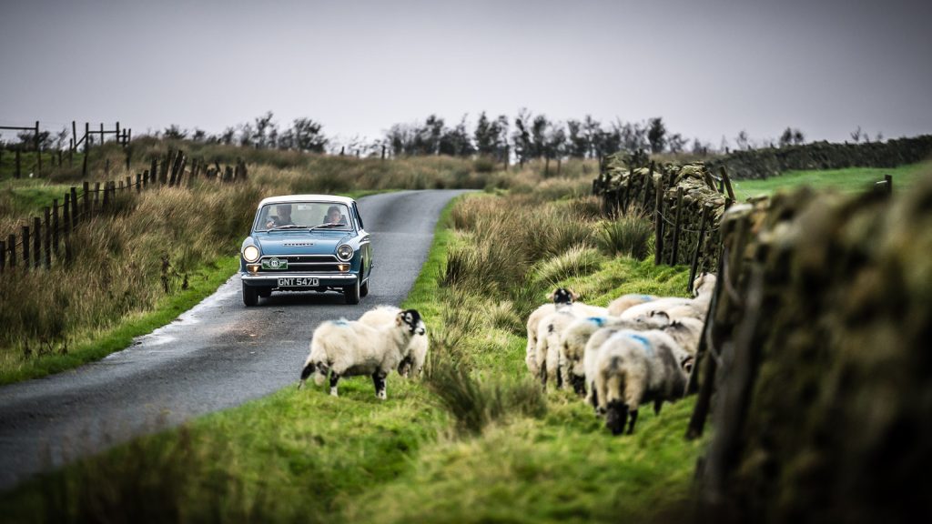 classic rally car passes sheep by the road