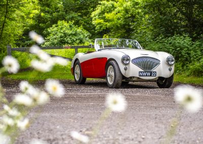 classic-cars-austin-healey-100-automotive