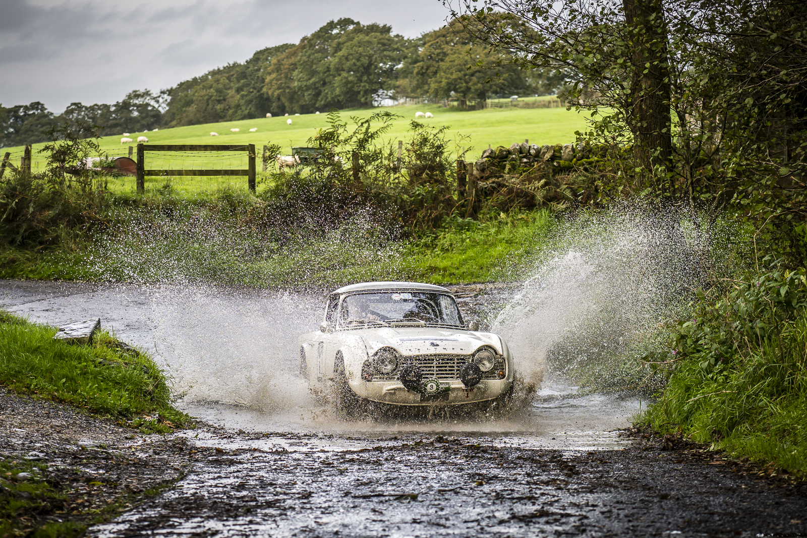 classic-rally-car-driving-water-splash-lane