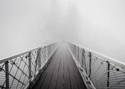 fog-bridge-neuschwanstein-castle-fine-art