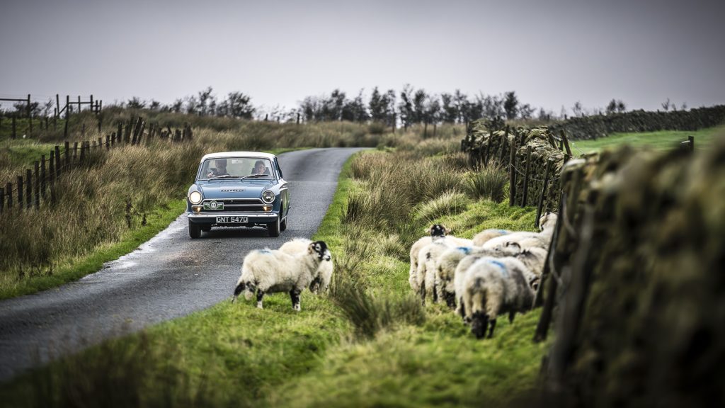 hero-challenge-3-ford-cortina-sheep