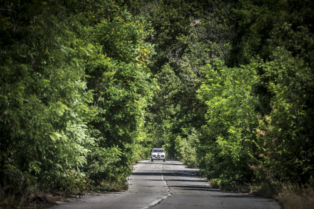 white fiat dwarfed by trees
