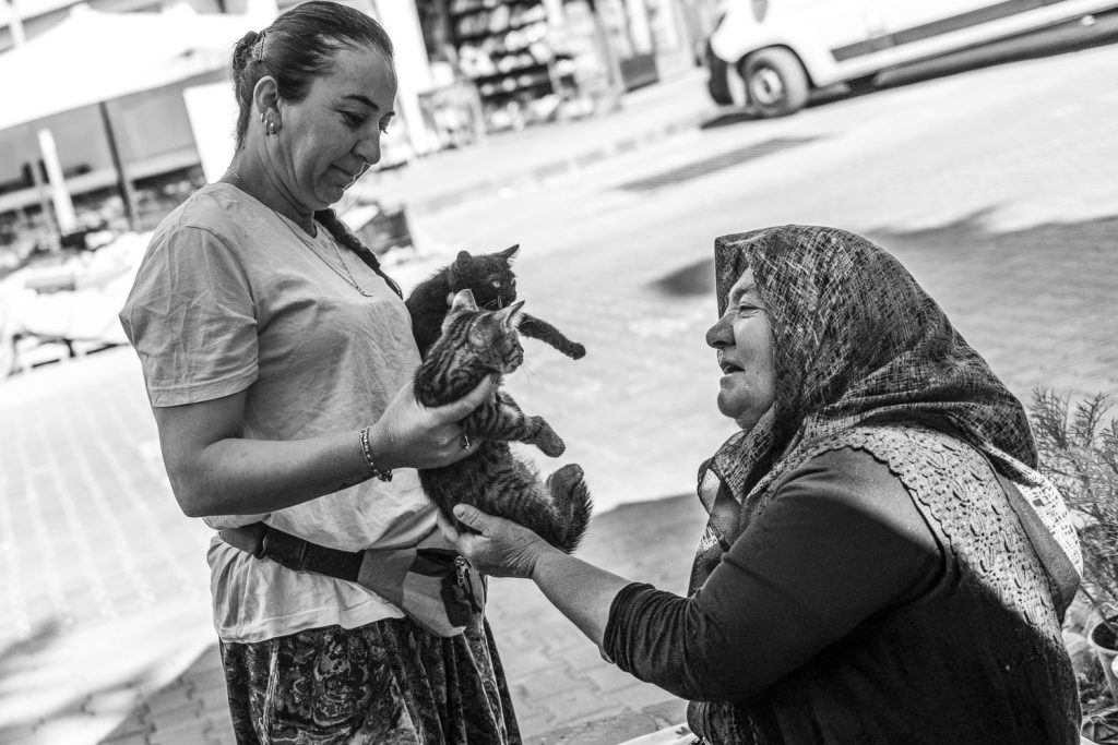 Old lady in Turkish village with stray kittens